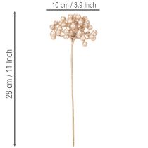 gjenstander Kunstig bærgren, champagnefarget dekorasjon, 28 cm, 3 stk.