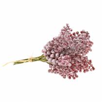 gjenstander Bærplukk rød, iset 21cm 12 stk