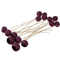 gjenstander Klokkekopp på stilk tørr dekorasjon begravelsesblomster vinrød 15 stk