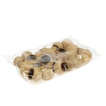 gjenstander Klokkekopp liten naturell 25 stk