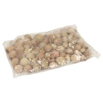 gjenstander Bellgum bell frukt kapsel frukt naturlig dekorasjon brun 500g