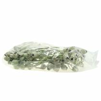 gjenstander Bellgum grein 5cm - 7cm grønn frostet 20 stk