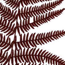 gjenstander Bregne dekorative fjellbregne tørkede blader vinrøde 50cm 20stk