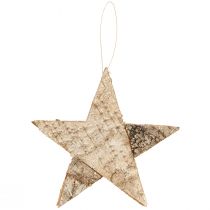 gjenstander Bjørkestjerner for hengende stjerner bjørkebark natur 25cm 3 stk