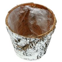 gjenstander Bjørkepotte liten plantekasse bjørk hvit Ø10cm H8,5cm 6 stk