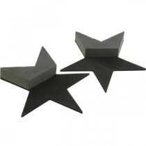 gjenstander OASIS® Sort Bioline® Floral Foam Star Sort H30cm 2 stk