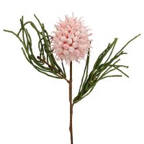 Blossom gren skum rosa / grønt 65cm