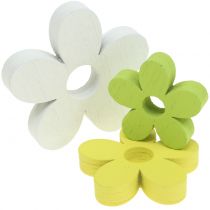 Treblomst hvit/gul/grønn 3cm - 5cm 48p