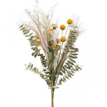 gjenstander Kunstige blomster Craspedia fjær gress eukalyptus 55cm haug
