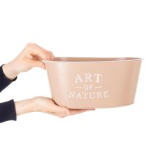 gjenstander Oval blomsterskål i sink, antikk rose, blomsterpotte, 27×18 cm, H12,5 cm