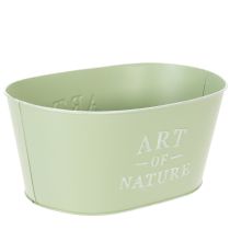 gjenstander Blomsterskål oval sink mintgrønn 27×18 cm H12,5 cm