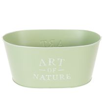 gjenstander Blomsterskål oval sink mintgrønn 27×18 cm H12,5 cm