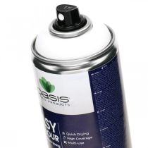 OASIS® Easy Color Spray, malingsspray hvit, vinterdekor 400ml