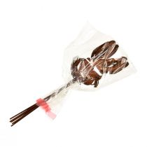 gjenstander Blomsterplugg rust kanin dekorasjon 7,5cm×11,5cm 6 stk
