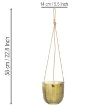 gjenstander Glassblomsterpotte/hengelykt, lilla/grønn, 14 cm, 2 stk.
