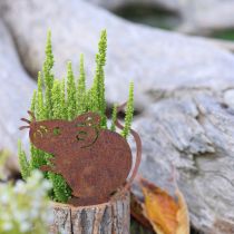 gjenstander Blomsterpotte i tre, bark og muserust, H24 cm