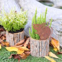 gjenstander Blomsterpotte i tre, bark og muserust, H24 cm