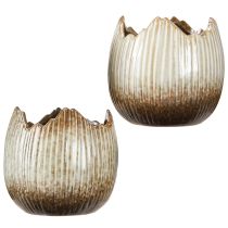 gjenstander Urtepotte Keramikk Egg Broken Cream Brown Ø11,5cm 2 stk