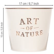 gjenstander Sinkblomsterpotte Art of Nature Kremfarget Ø17,5 cm H15 cm