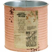 gjenstander Blomsterkrukke dekorativ blikk laks metall sommerdekor Ø11cm H10,5cm