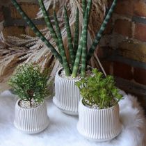 Urtepotte keramisk plantekasse med riller hvit Ø12cm H10,5cm