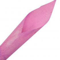 Blomst trakt sigar calla rosa 18cm - 19cm 12stk