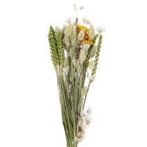 gjenstander Tørket blomsterbukett, elegant tørket blomsterbukett til stue, 50 cm
