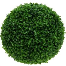 Buksbom ball grønn Ø55cm