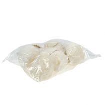 gjenstander Buddha Nut bleket 10 stk