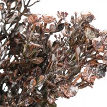 gjenstander Kunstige planter brun høstpynt vinterdekor Drylook 38cm 3stk