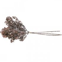 gjenstander Kunstige planter brun høstdekor vinterdekor Drylook 38cm 3 stk