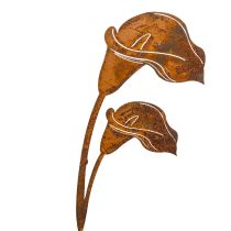 gjenstander Hagepike Calla blomst rust for graver og blomsterdekorasjoner 25 cm 6 stk