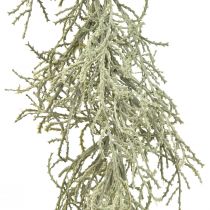 gjenstander Calocephalus Garland Kunstige Planter Sølvgrå 122cm