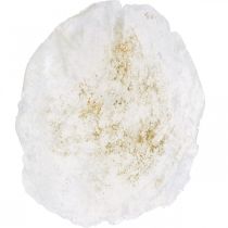 gjenstander Maritim, Capiz-skjell 5–10 cm, perlemor, naturlig gjenstand 1 kg