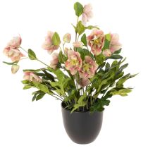 gjenstander Kunstig Helleborus potteplante, julerose, til hjemmedekorasjon, 50 cm