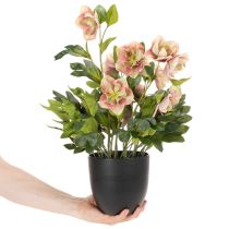 gjenstander Kunstig Helleborus potteplante, julerose, til hjemmedekorasjon, 50 cm