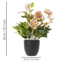 gjenstander Kunstig Helleborus potteplante, julerose, til hjemmedekorasjon, 50 cm