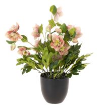 gjenstander Kunstig Helleborus potteplante, julerose, til hjemmedekorasjon, 50 cm