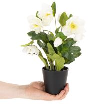 gjenstander Kunstig julerose, potteblomst, borddekorasjon, 34 cm