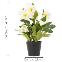gjenstander Kunstig julerose, potteblomst, borddekorasjon, 34 cm