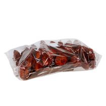 gjenstander Compacta Rosett oransje 40 stk