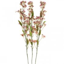gjenstander Dekorativ gren med blomster kunstrosa Daphne gren 110cm 3stk