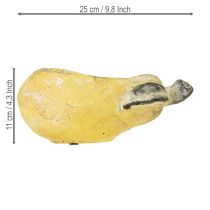 gjenstander Dekorativ pæreplantekasse høstblomsterpotte betong 25×13×11 cm