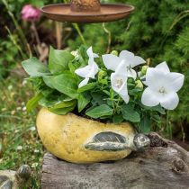 Dekorativ pære, keramikk for pynt, høst, plantepotte L25cm H11cm