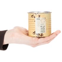 gjenstander Dekorativ blikk, sommeraprikosfarget, metallblikk, blomsterpotte, Ø8 cm H7,5 cm