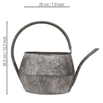 gjenstander Dekorativ vannkanne/tekanne i metall, svart, vintage-stil