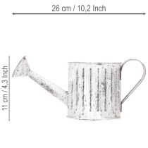 gjenstander Dekorativ vannkanne, blomsterkasse, vannkanne for planting Ø10,5 cm
