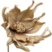 Deco lotusblomst kunstig lotusblomst kunstig blomst beige L68cm