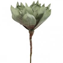 Deco lotusblomst, lotusblomst, silkeblomst grønn L64cm