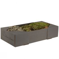 gjenstander Dekorativ mose – ekte mose og lav til blomsteroppsatser 250 g